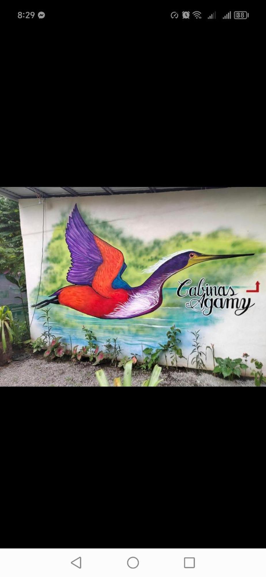 Cabinas Agamy トルトゥゲーロ エクステリア 写真