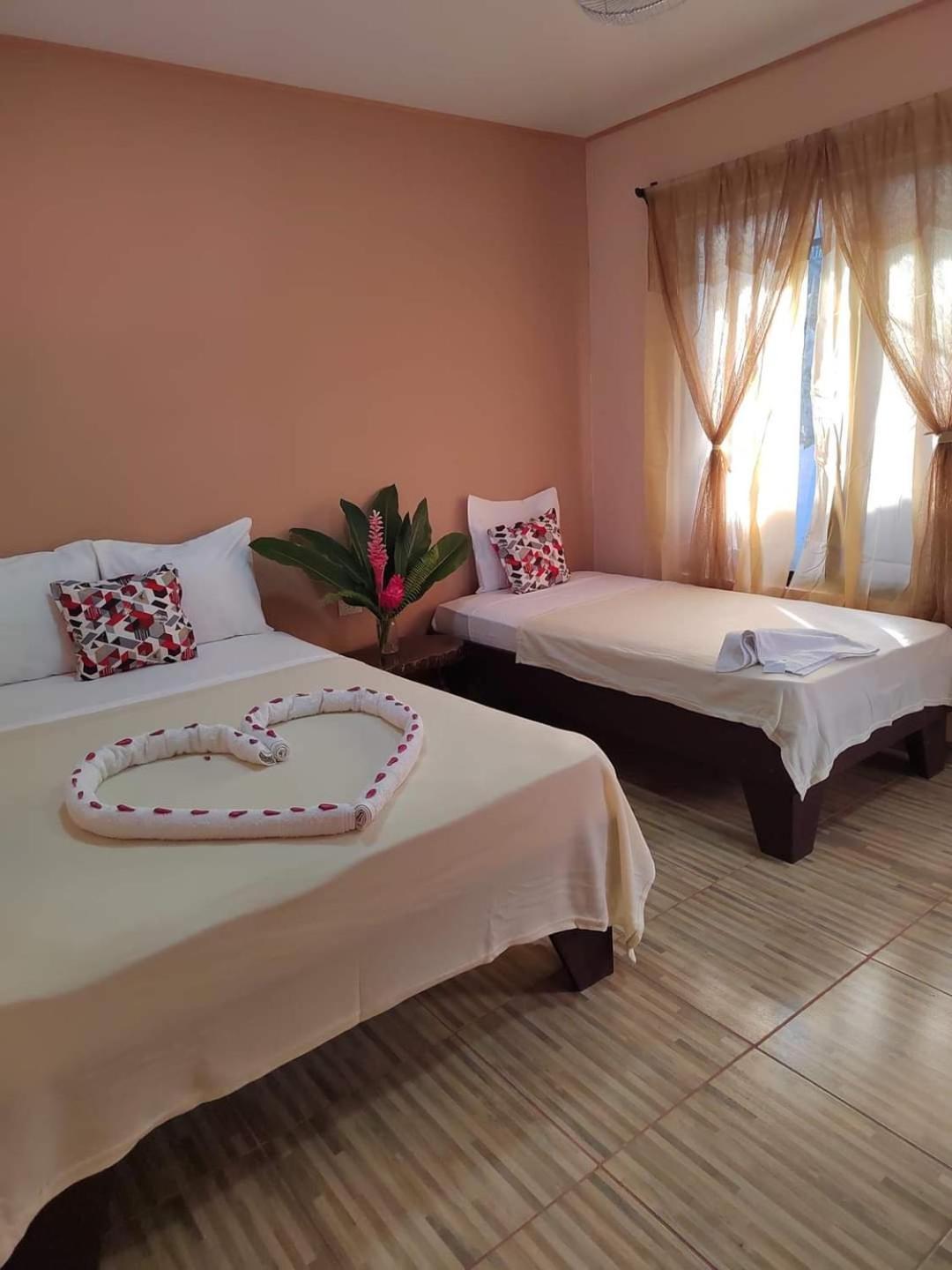 Cabinas Agamy トルトゥゲーロ エクステリア 写真