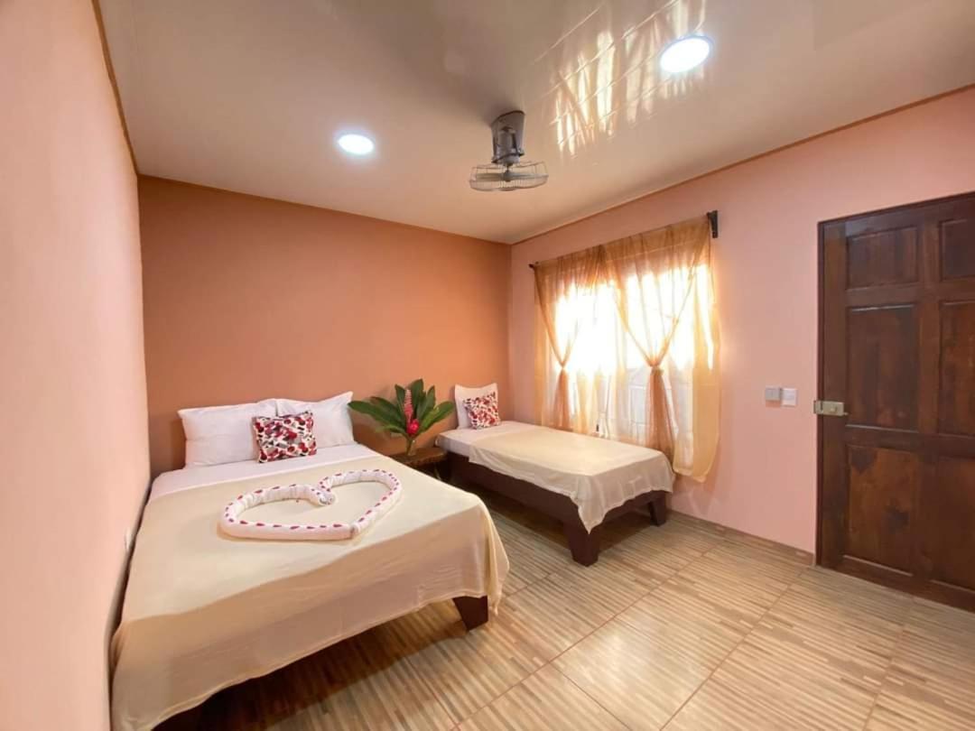 Cabinas Agamy トルトゥゲーロ 部屋 写真