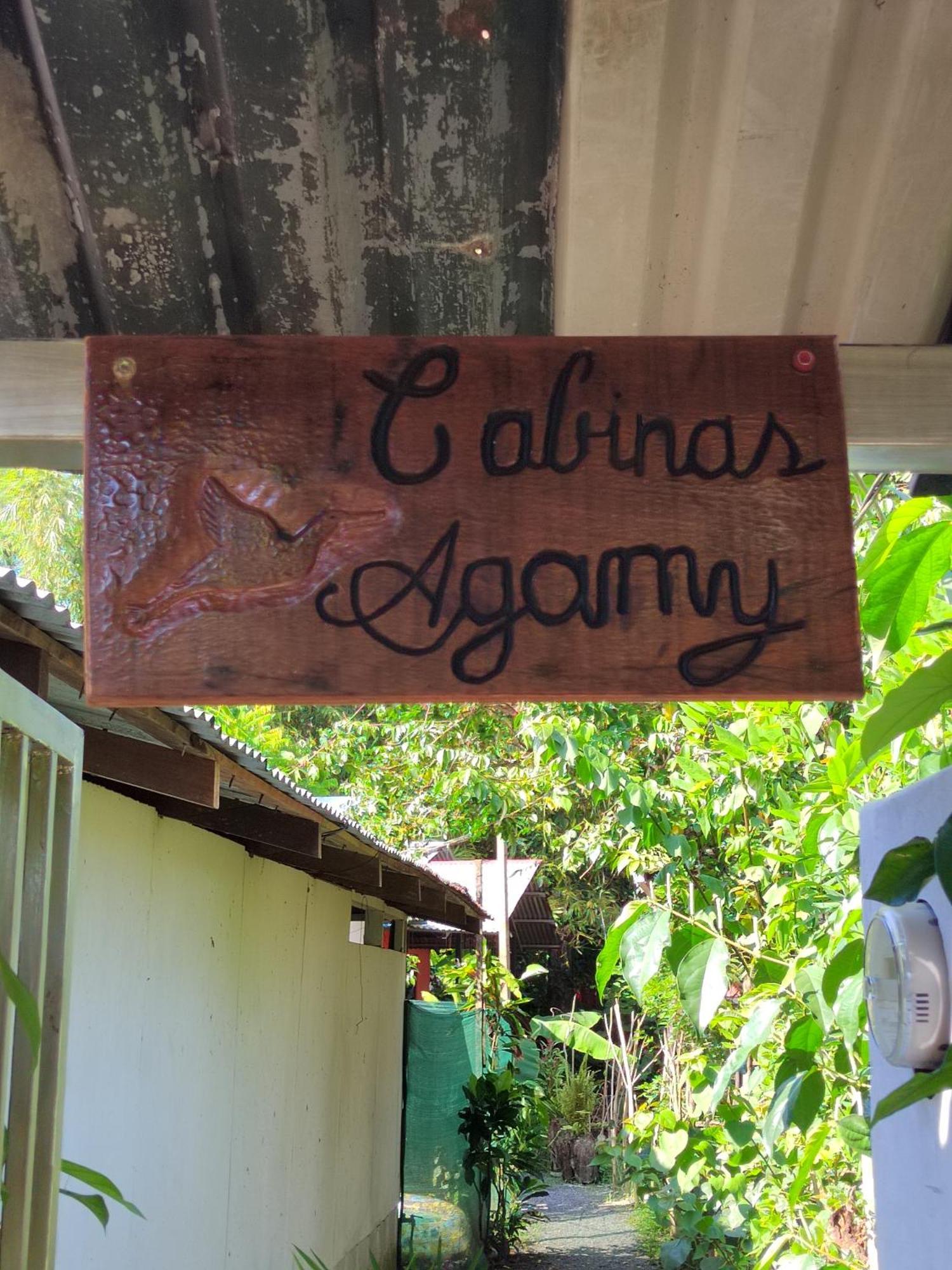 Cabinas Agamy トルトゥゲーロ エクステリア 写真